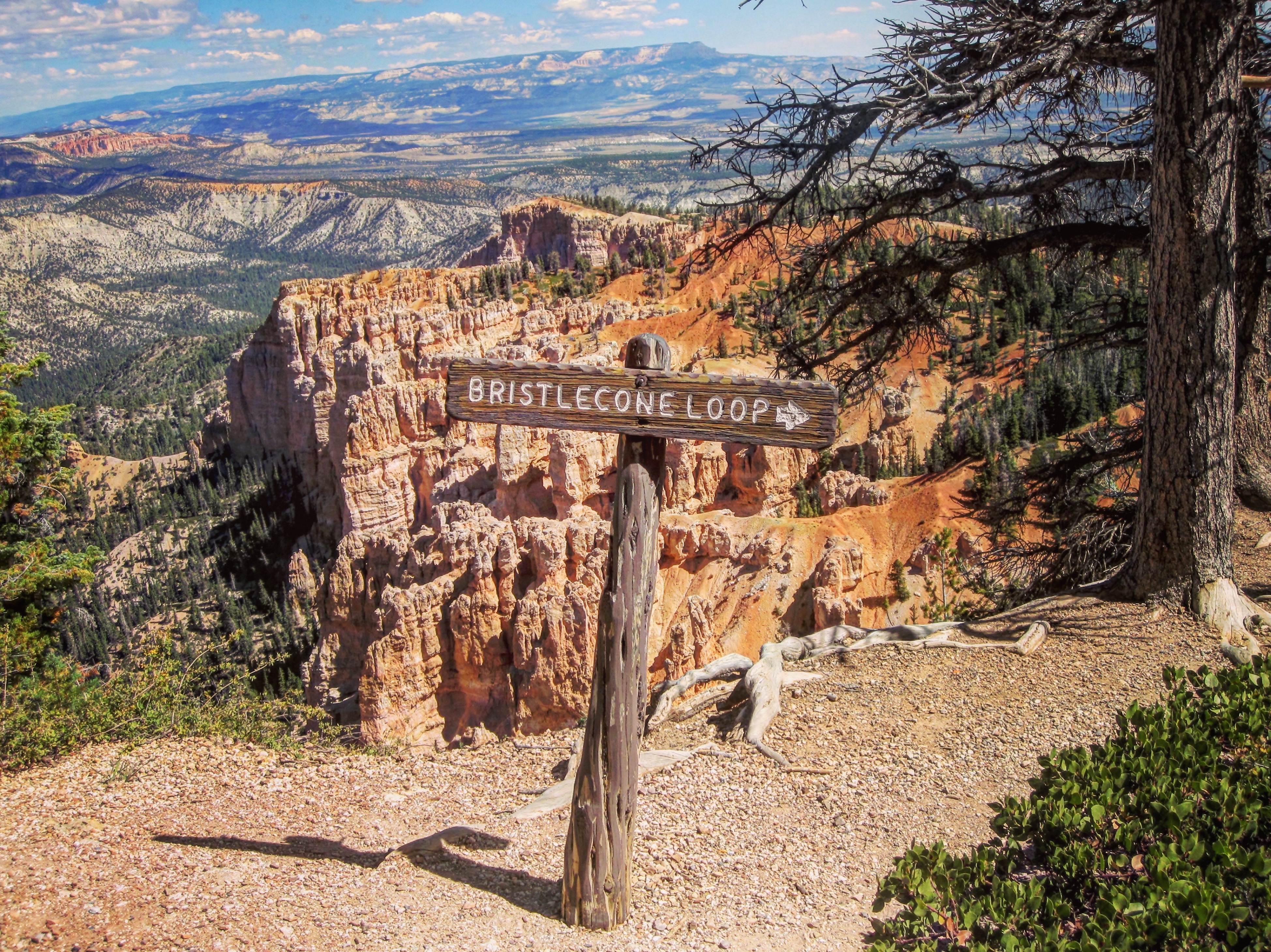 in-search-of-methuselah-matt-and-karen