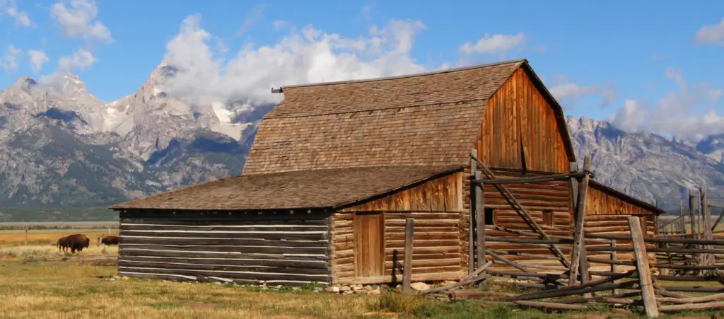 barn and bison in Grand Teton National Park